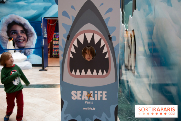 Aquarium Sea Life - IMG 8404