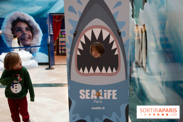 Aquarium Sea Life - IMG 8405