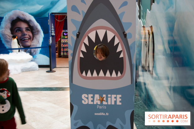 Aquarium Sea Life - IMG 8406