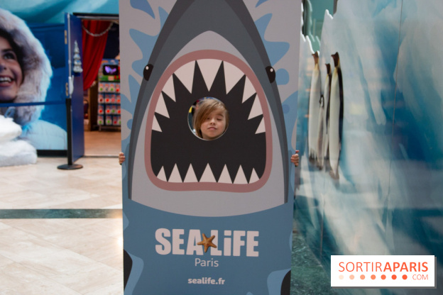 Aquarium Sea Life - IMG 8407