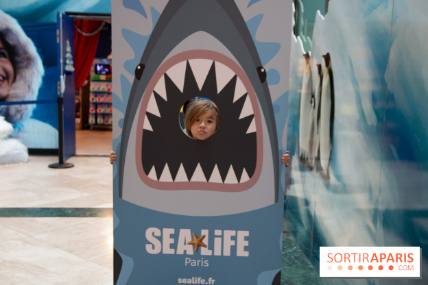 Aquarium Sea Life - IMG 8408