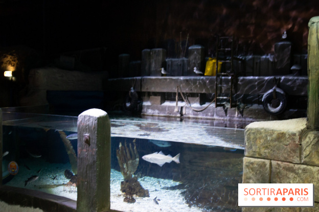 Aquarium Sea Life - IMG 8389