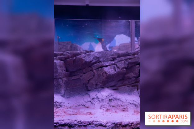 Aquarium Sea Life - IMG 8392