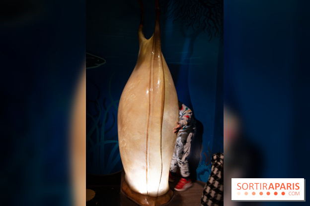 Aquarium Sea Life - IMG 8380