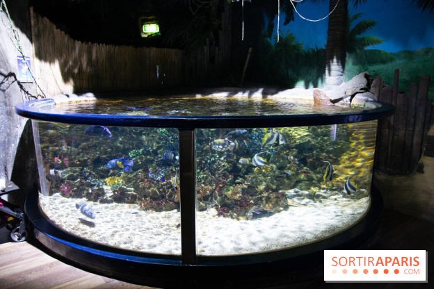 Aquarium Sea Life