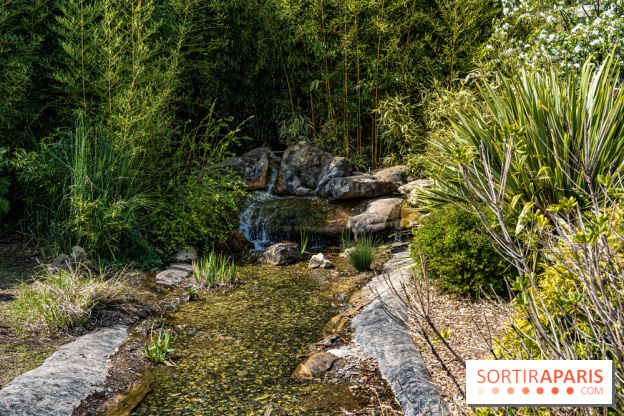 Square Médéric Colombes - jardin japonais 92 -  A7C9951