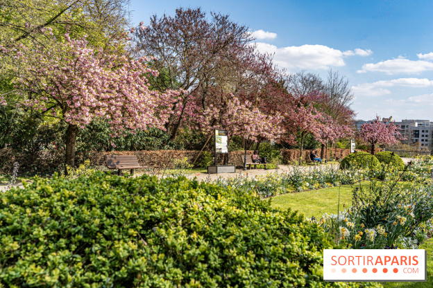Parc de Bécon à Courbevoie - Pavillon des Indes - Cerisiers en fleurs -  A7C0017