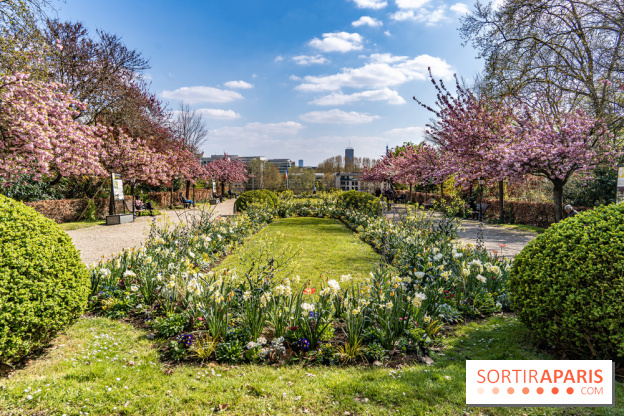 Parc de Bécon à Courbevoie - Pavillon des Indes - Cerisiers en fleurs -  A7C0020