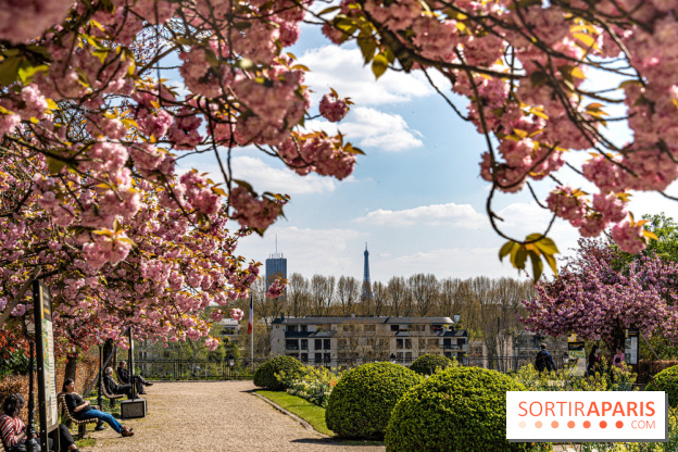 Parc de Bécon à Courbevoie - Pavillon des Indes - Cerisiers en fleurs -  A7C0029