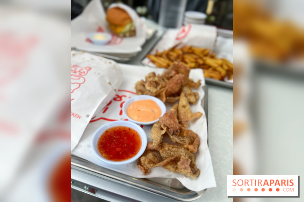 Mao Fry - Peaux poulet frites