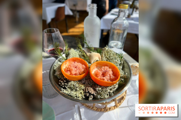 Alice Arnoux au Perchoir Ménilmontant - Pomelo et araignée