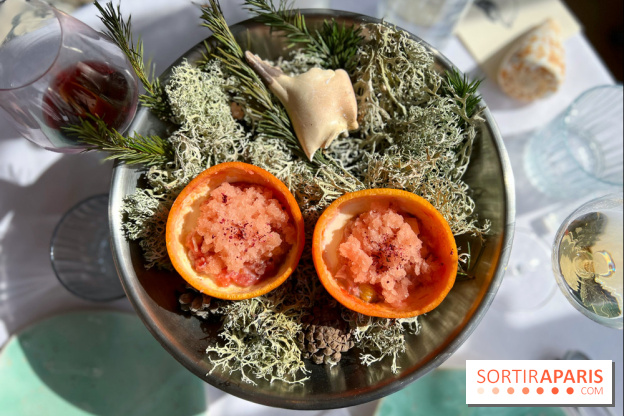 Alice Arnoux au Perchoir Ménilmontant - Pomelo et araignée