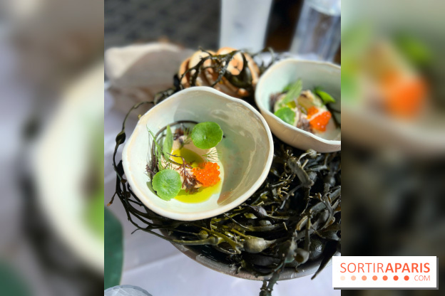 Alice Arnoux au Perchoir Ménilmontant - Tarama