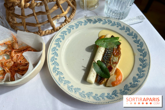 Alice Arnoux au Perchoir Ménilmontant - Maquereau