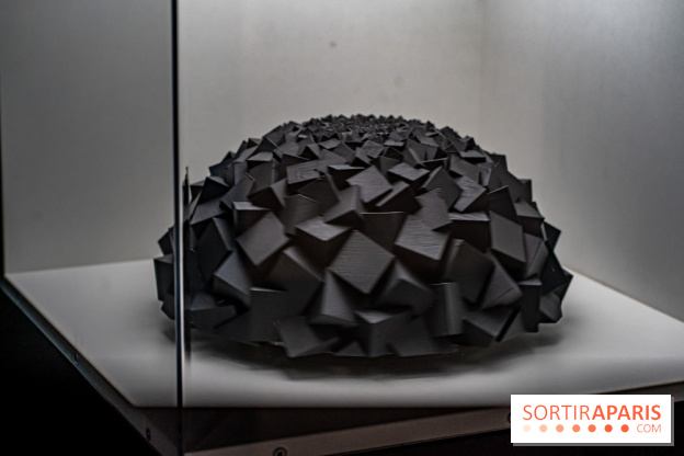 Paradox Museum Paris - les photos -  A7C0701