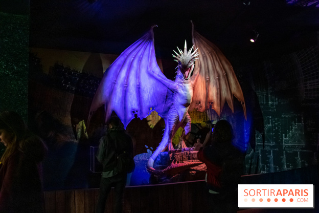 Harry Potter l'exposition dragon