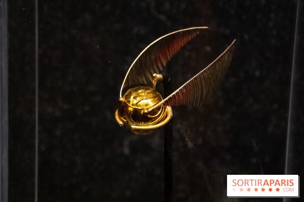 Harry Potter l'exposition vif d'or quidditch