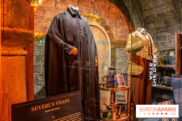 Harry Potter l'exposition cours de potions