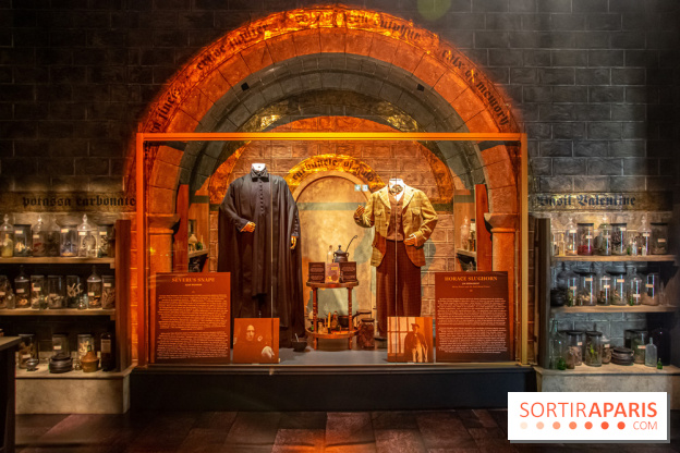 Harry Potter l'exposition cours de potions