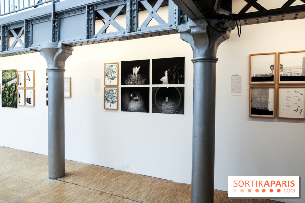 Paris Animal, nos photos de l'expo à Paris
