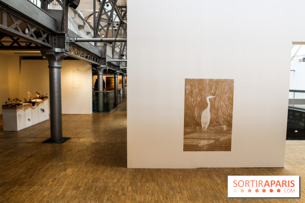 Paris Animal, nos photos de l'expo à Paris