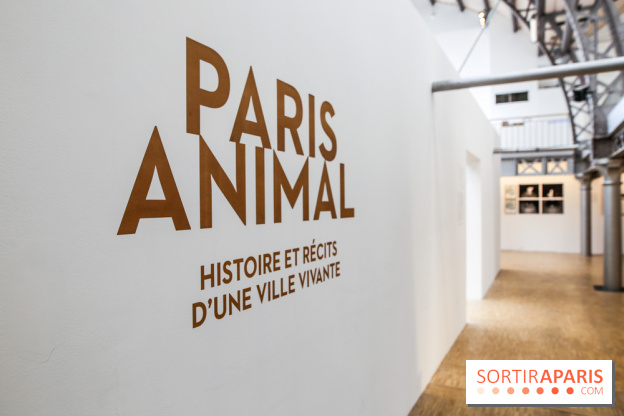 Paris Animal, nos photos de l'expo à Paris