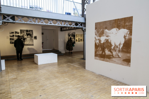 Paris Animal, nos photos de l'expo à Paris