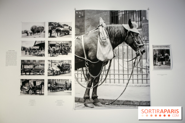 Paris Animal, nos photos de l'expo à Paris