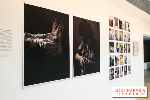 Paris Animal, nos photos de l'expo à Paris