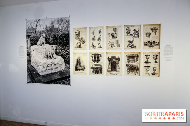 Paris Animal, nos photos de l'expo à Paris