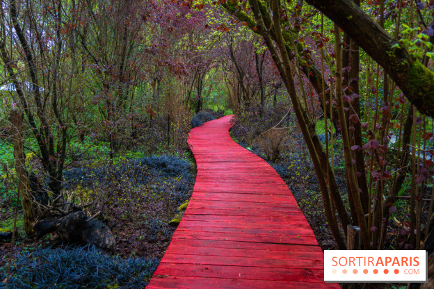 Le Moulin jaune - Hanami 2023 -  A7C1676