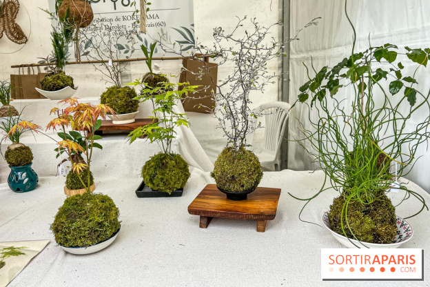 Esprit Jardin à Versailles - Marché aux plantes et animations