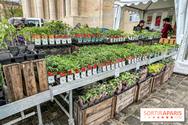 Esprit Jardin à Versailles - Marché aux plantes et animations