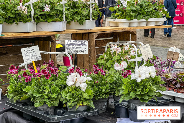 Esprit Jardin à Versailles - Marché aux plantes et animations