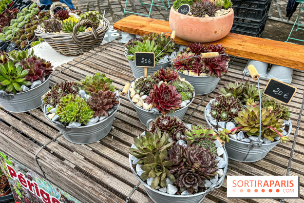Esprit Jardin à Versailles - Marché aux plantes et animations