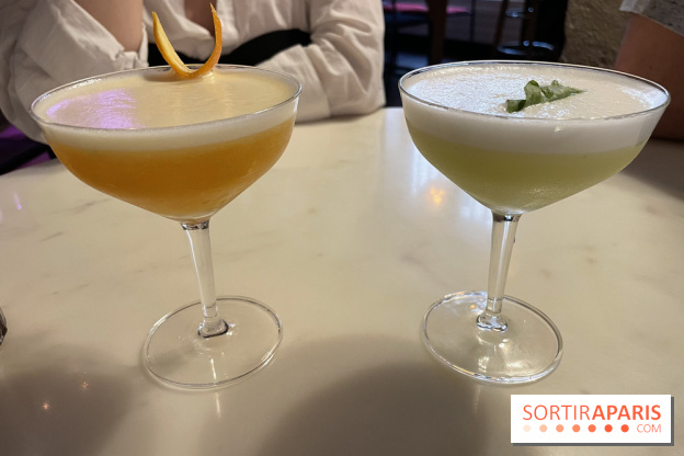 Griffon - Visuels - IMG 3780