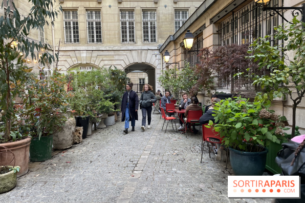 Griffon - Visuels - IMG 3866