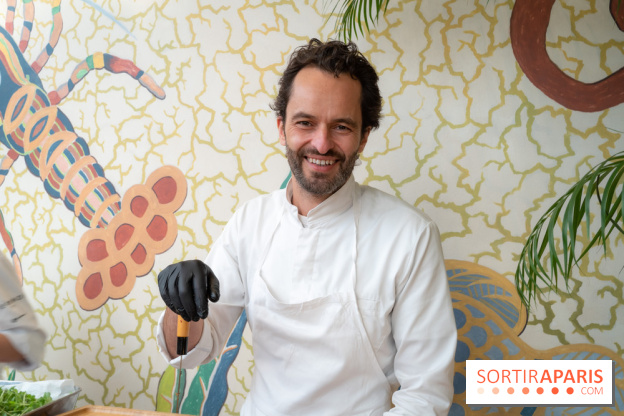 Polpo plage - Marina bateaux électrique  -  A7C2337