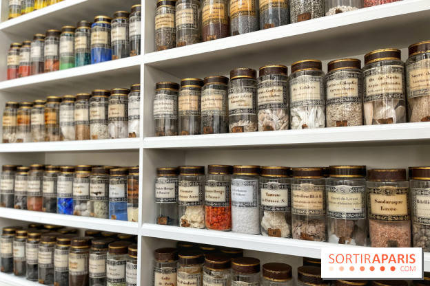 Musée de la Pharmacie - Dynastie Menier - IMG 2184