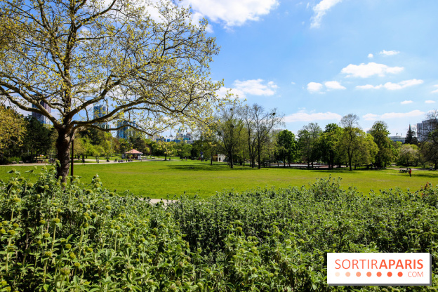 Parc André Malraux à Nanterre, nos photos - IMG 9723