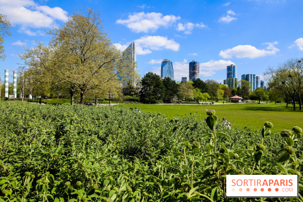 Parc André Malraux à Nanterre, nos photos - IMG 9724