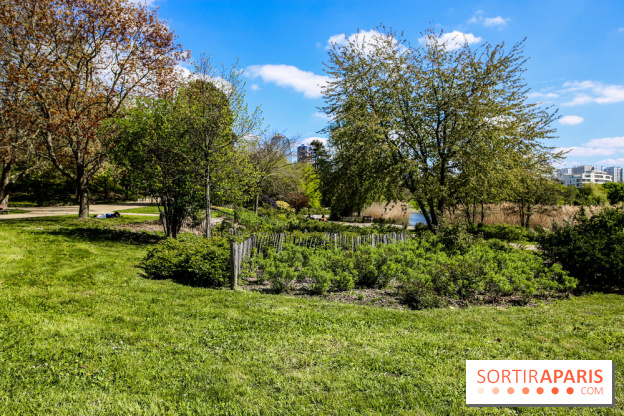 Parc André Malraux à Nanterre, nos photos - IMG 9729
