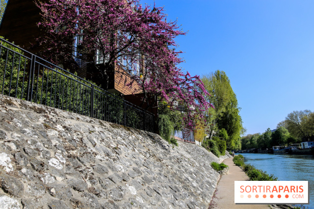 L'île de la Jatte, nos photos - IMG 9679