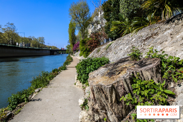 L'île de la Jatte, nos photos - IMG 9680