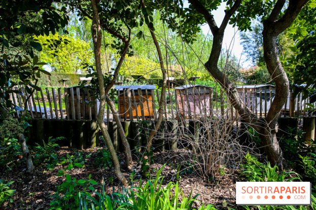 L'île de la Jatte, nos photos - IMG 9711