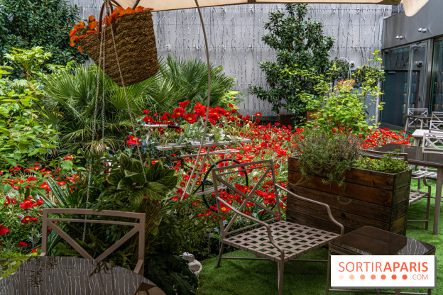 La terrasse cachée du Joy à l'Hôtel Fouquet's 2023 : le jardin de coquelicots -  A7C2732