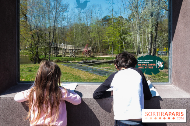 Zoo de Thoiry 2023 - visuel enfant