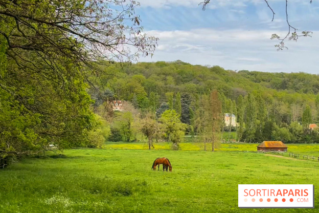 Balade - rando de Jouy-en-Josas jusqu'à l'Aqueduc de Buc - image00011