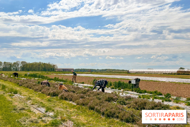 Balade - rando de Jouy-en-Josas jusqu'à l'Aqueduc de Buc - image00003
