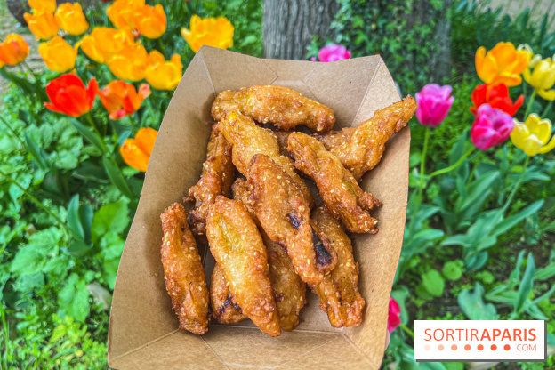 Wat Thammapatip Inrernational : la pagode bouddhiste et sa street food thaï, à Moissy-Cramayel - 2998D275 6BF8 4ABE BB85 082D65599E92